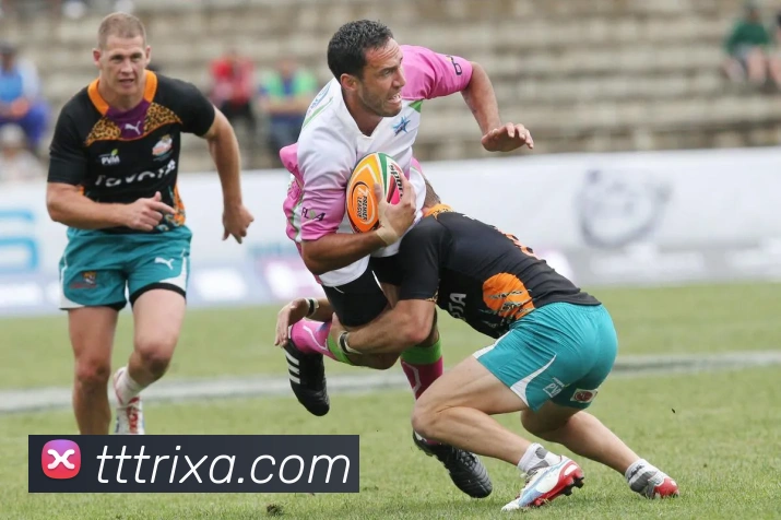 TT体育服务体系