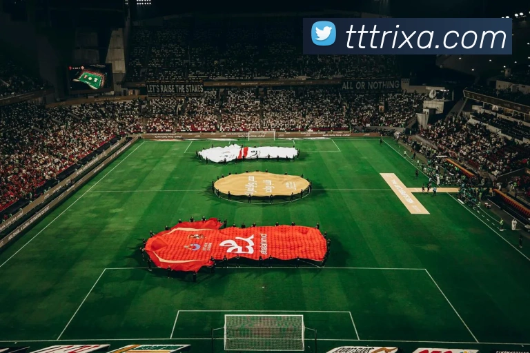 TT体育APP 体育赛事宣传图